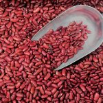 Are Kidney Beans Poisonous to Dogs