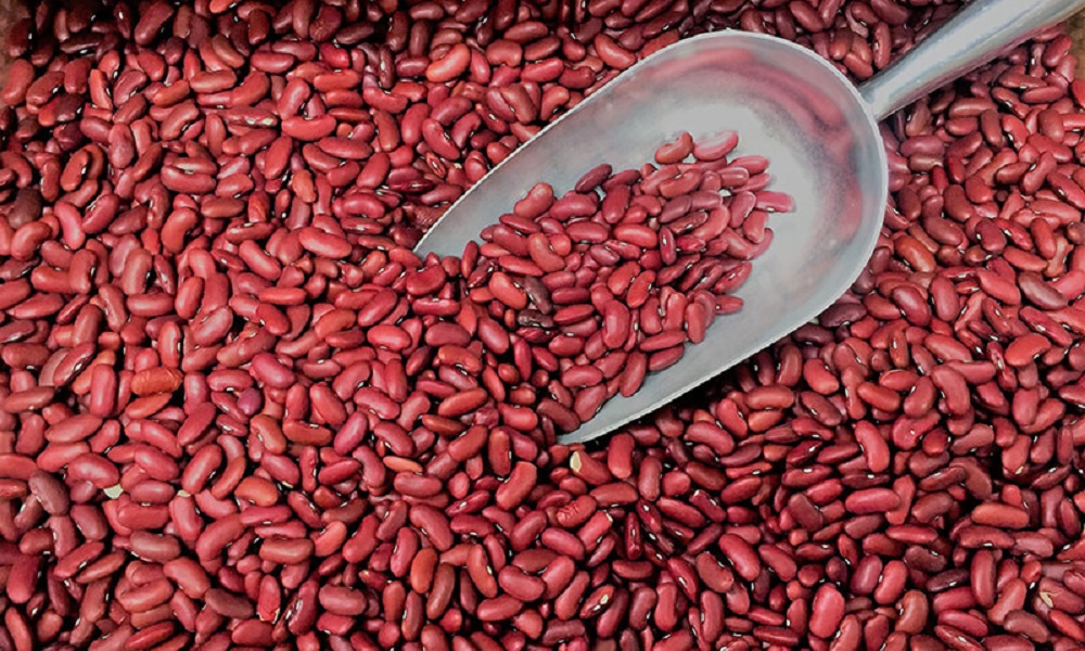 Are Kidney Beans Poisonous to Dogs