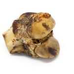 Are Knuckle Bones Safe for Dogs