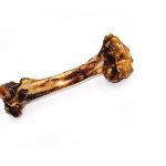 Are Lamb Bones Safe for Dogs