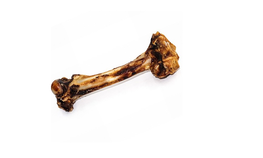 Are Lamb Bones Safe for Dogs