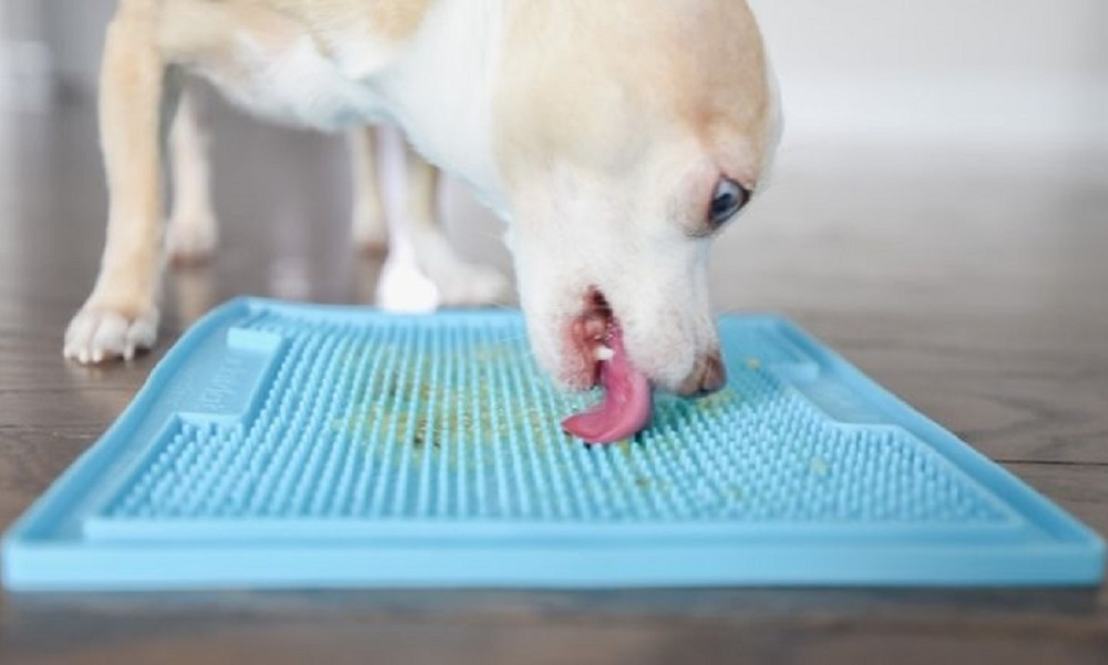 Are Lick Mats Good for Dogs
