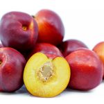 Are Nectarines Good for Dogs