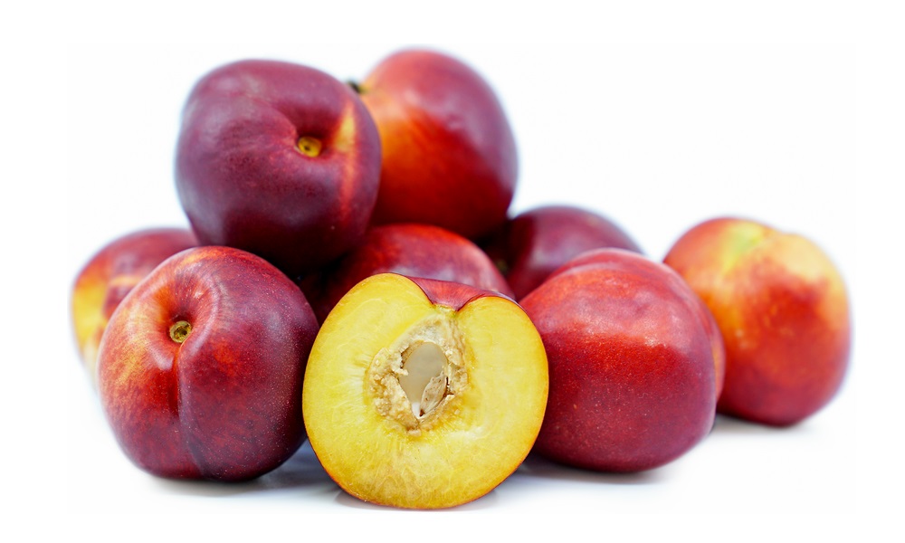 Are Nectarines Good for Dogs
