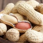 Are Nuts Ok for Dogs