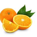 Are Oranges Good for Dogs