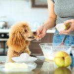 Are Pears Good for Dogs