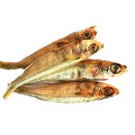 Are Pilchards Good for Dogs