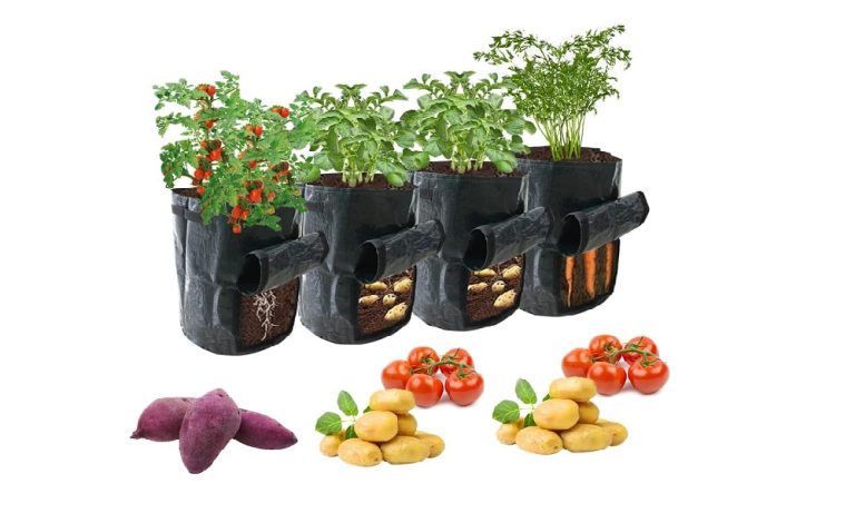 Are Potato Plants Poisonous To Dogs Pet Help Reviews UK are-potato-plants-poisonous-to-dogs-pet-help-reviews-uk