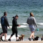 Can Dogs Go on Mablethorpe Beach