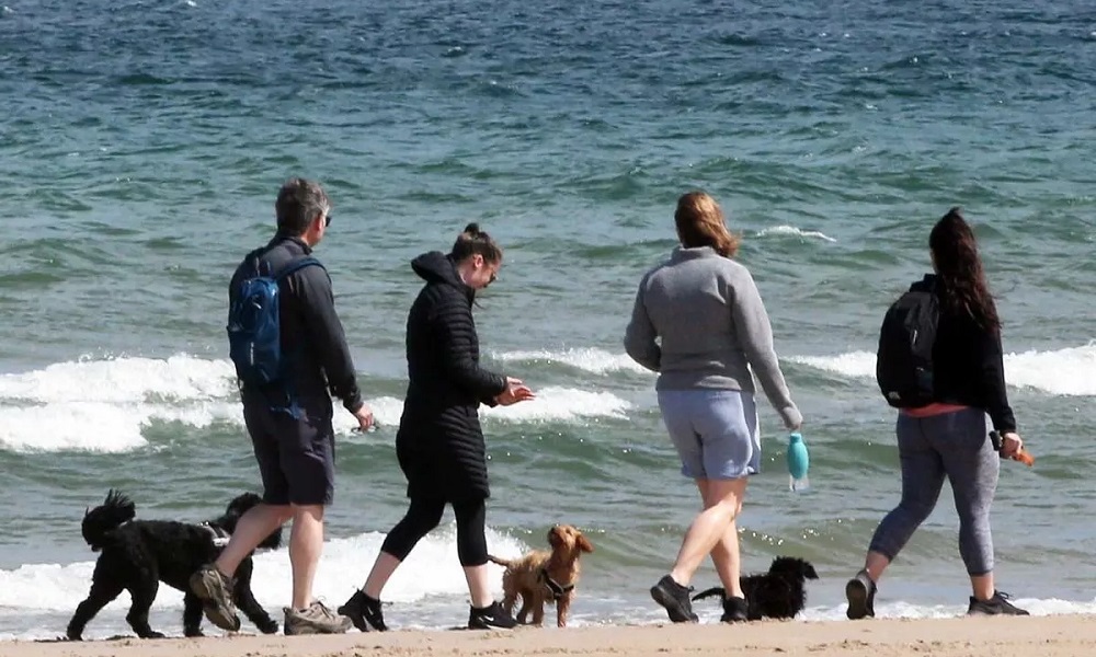 Can Dogs Go on Mablethorpe Beach