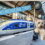Can Dogs Go on the Eurostar