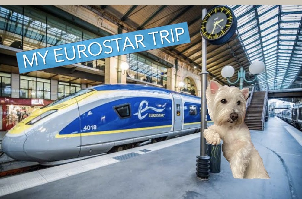 Can Dogs Go on the Eurostar