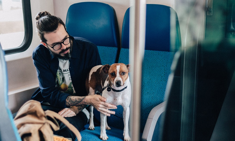 Can Dogs Go on Trains
