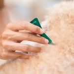 Best Flea Treatment for Dogs