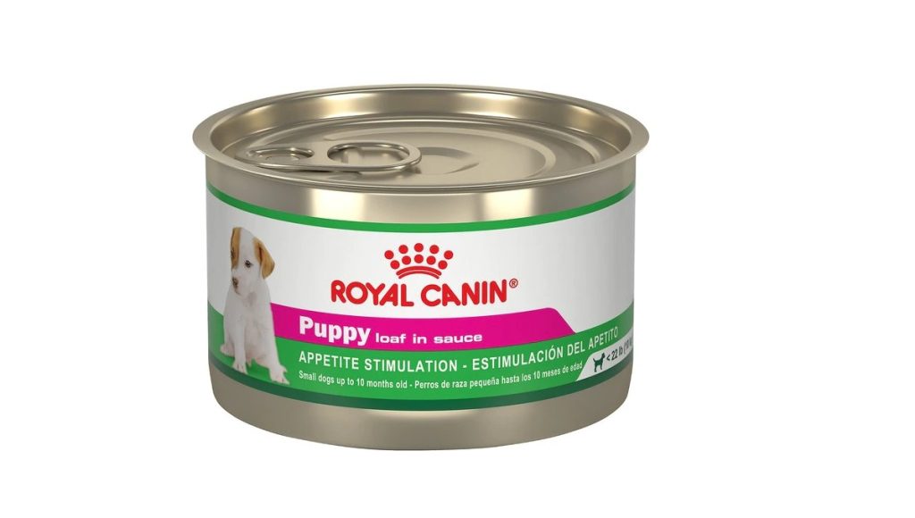 Can Royal Canin Cause Diarrhea in Dogs