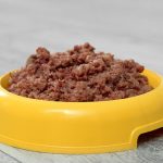 Can You Freeze Wet Dog Food