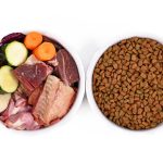 What Can I Mix With Raw Dog Food