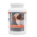 Can Cosequin Cause Diarrhea in Dogs