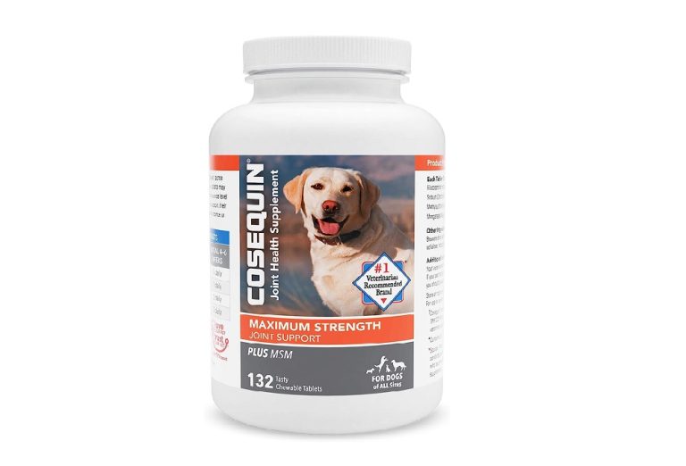 Can Cosequin Cause Diarrhea in Dogs? Pet Help Reviews UK