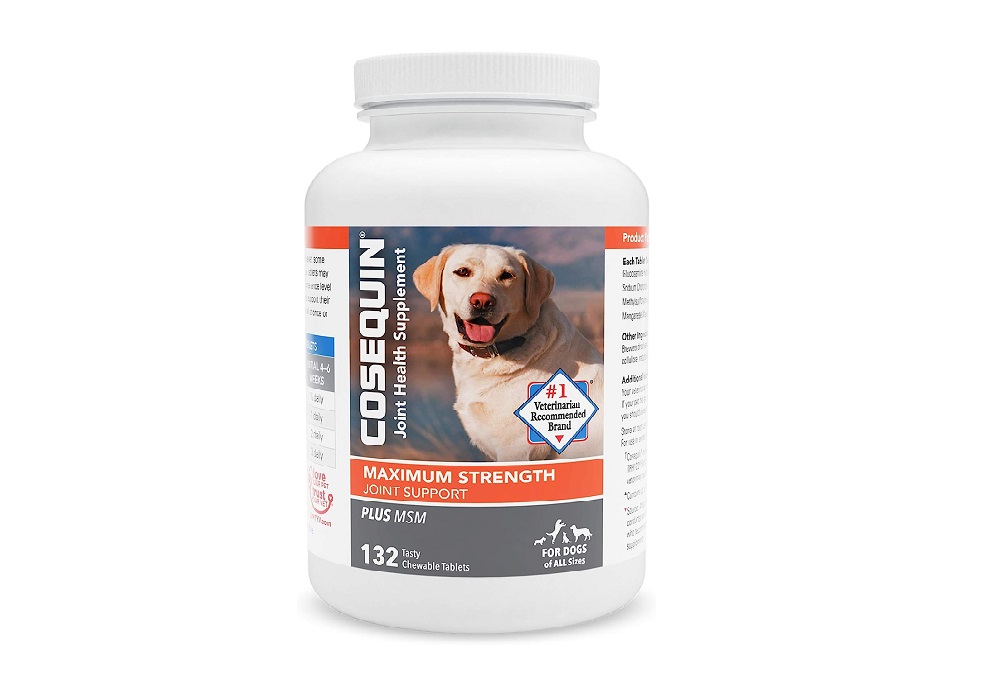 Can Cosequin Cause Diarrhea in Dogs