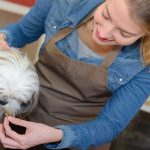 Can Dasuquin Cause Diarrhea in Dogs