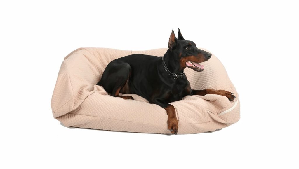 The Best Dog Bed Covers UK of 2024! Pet Help Reviews UK