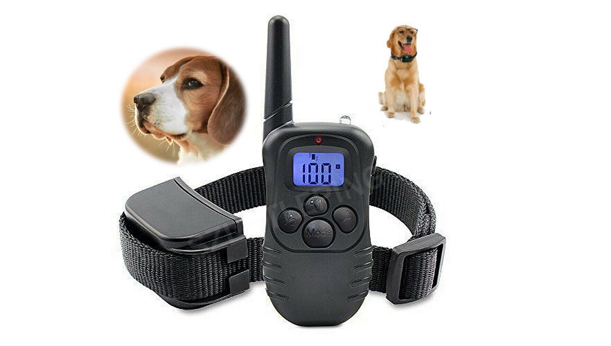 10 Best Electric Dog Collars UK 2024 Pet Help Reviews UK   Best Electric Dog Collars 