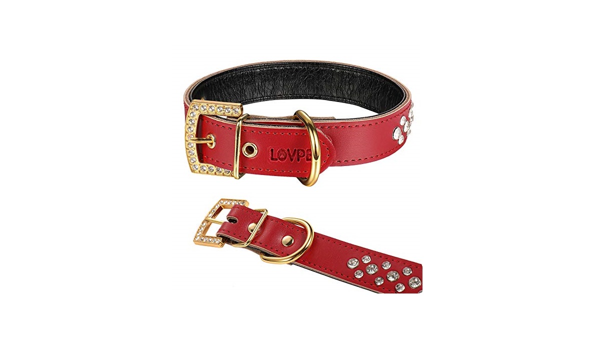 10 Best Personalized Dog Collars UK 2024 Pet Help Reviews UK