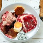 Best Raw Dog Foods