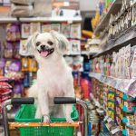 Are Dogs Allowed in Supermarkets UK