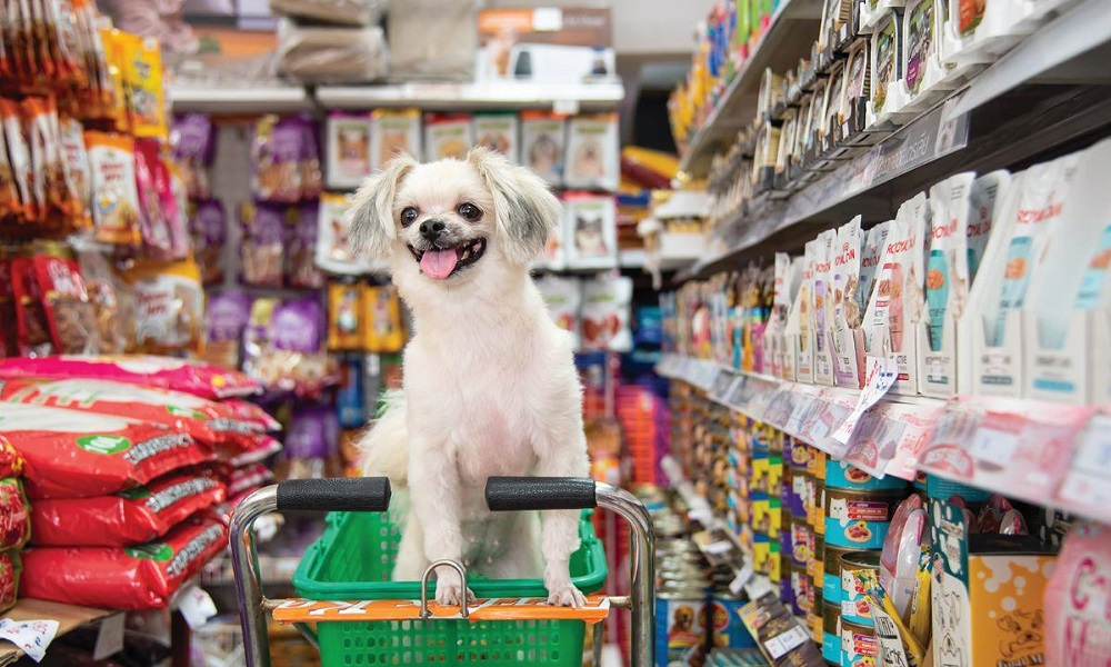 Are Dogs Allowed in Supermarkets UK