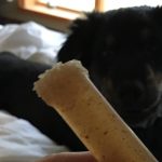 Can Dogs Eat Nylabones