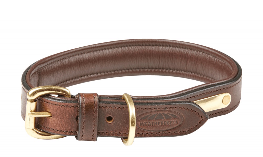 Best Leather Dog Collars
