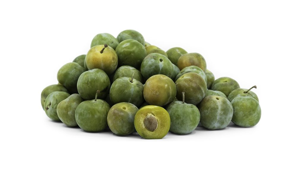 Can Dogs Eat Greengages