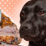 Can Dogs Eat Corned Beef