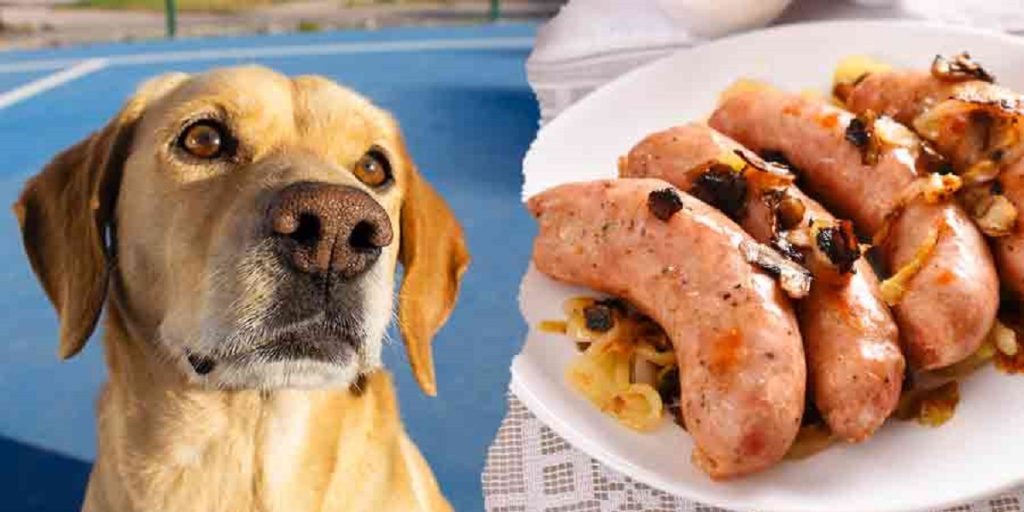 Can Dogs Eat Pork Sausages