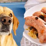 Can Dogs Eat Pork Sausages