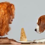 Can Dogs Eat Red Leicester Cheese