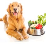 Can Dogs Eat Red Peppers
