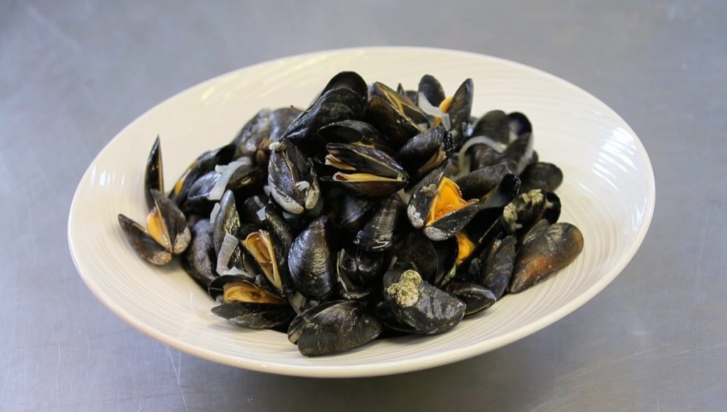 Can Dogs Eat Mussels? Pet Help Reviews UK