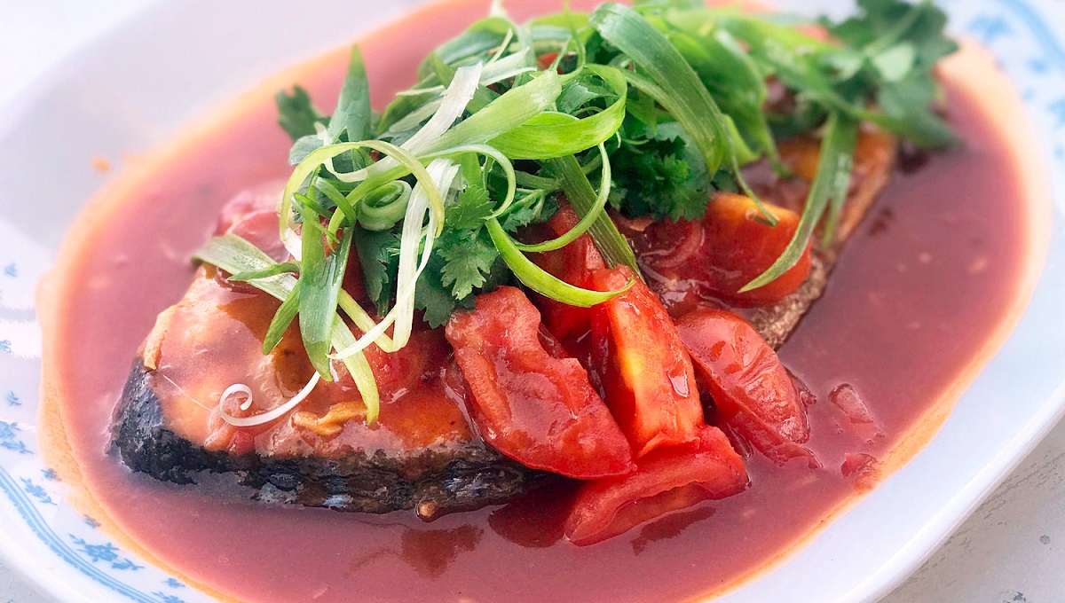 Can Dogs Eat Mackerel in Tomato Sauce? Pet Help Reviews UK