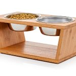 Are Raised Bowls Better for Dogs