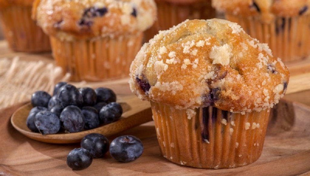 Can Dogs Eat Blueberry Muffins