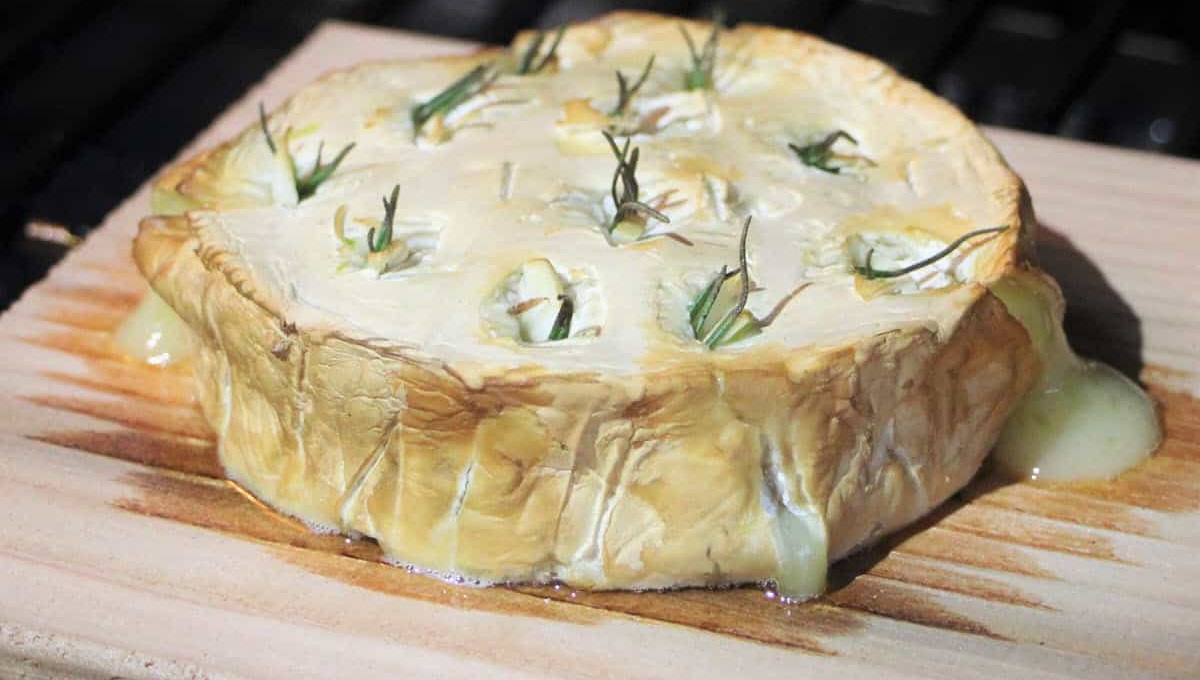 Can Dogs Eat Canned Sardines in Tomato Sauce? Pet Help Reviews UK