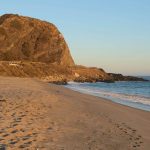 Are Pets Allowed at Point Mugu Beach