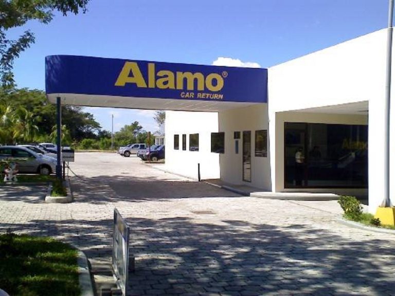 Are Pets Allowed in Alamo Rent a Car? Pet Help Reviews UK