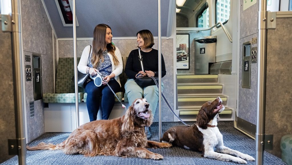 Are Pets Allowed in Go Transit