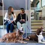 Are Pets Allowed in Go Transit