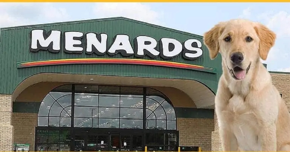 Are Pets Allowed in Menards? Pet Help Reviews UK
